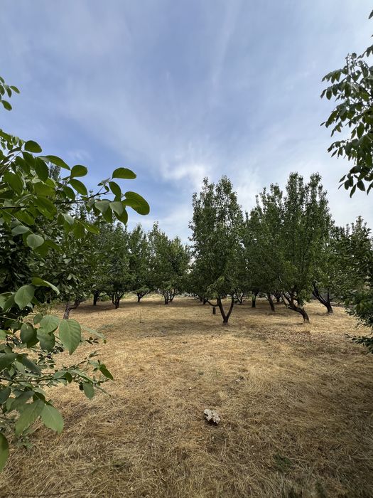 Ер сотилади 10 сотих