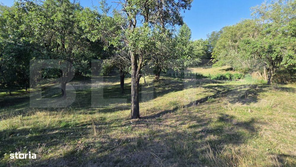 Un colt de natura in Oarda | Casa cu peste 8.000 mp teren si livada