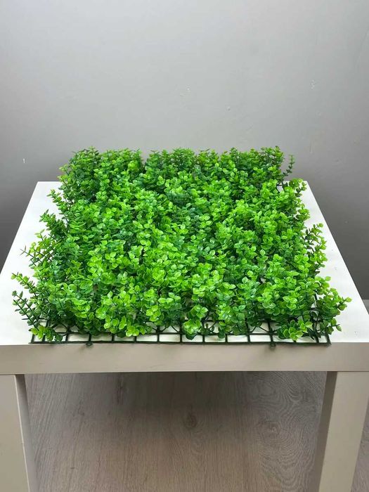 Декор для дома и офиса | Фитостена