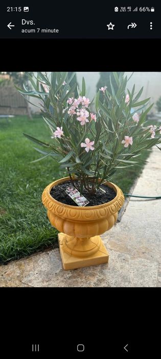 Ghiveci flori din praf de marmura