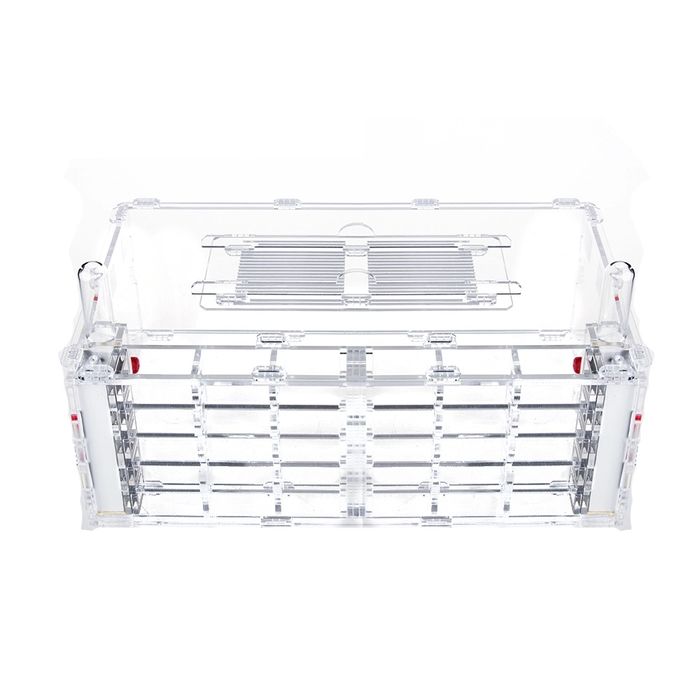 Муравьиная ферма crystal xl + декор в подарок