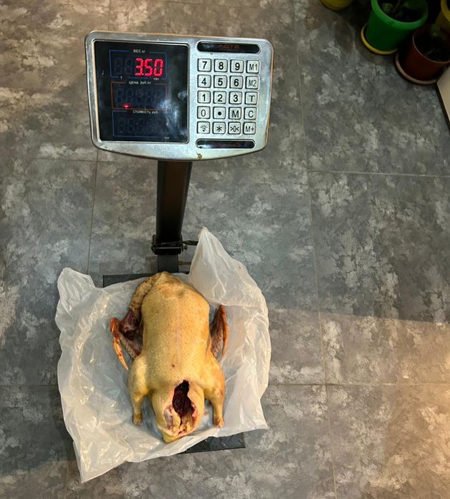 Продам утки гуси