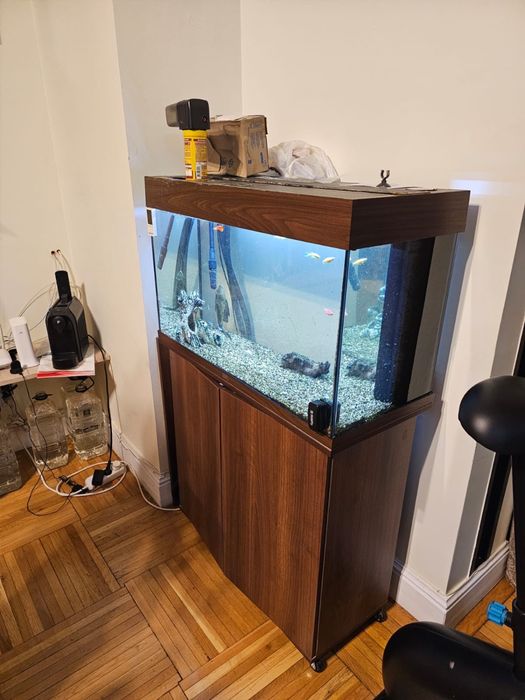 Acvariu juwel  80×36×50