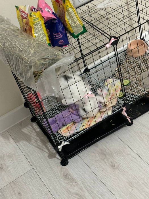 Продам клетку срочно