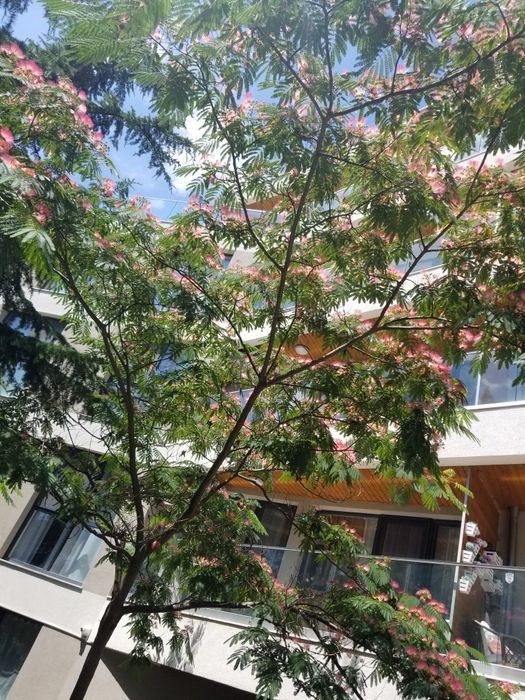 Дава се под наем Двустаен апартамент в Варна, Бриз - 60 кв.м за 550 € - Снимка #6