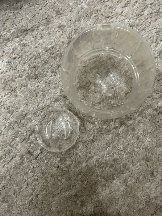 Шарик прогулочный для хомяков