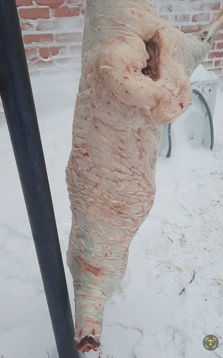 Мясо. Баранина. Доставка