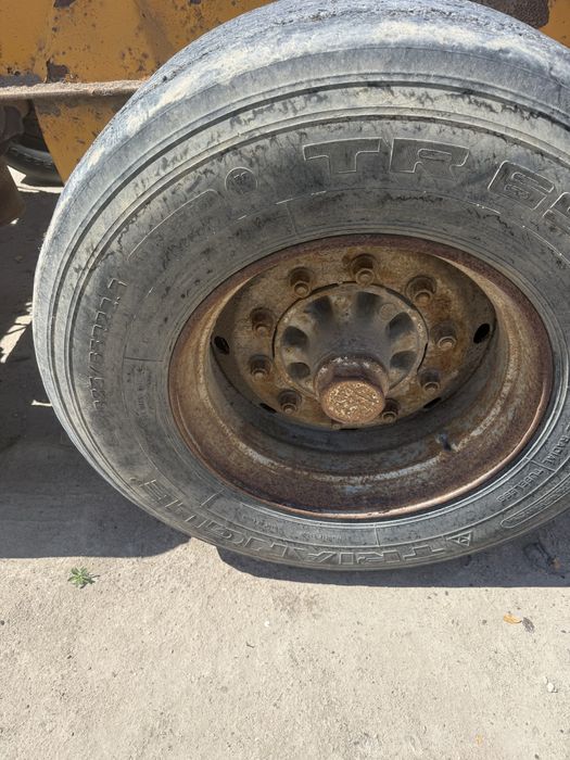 Продам ося бпв 3 шт