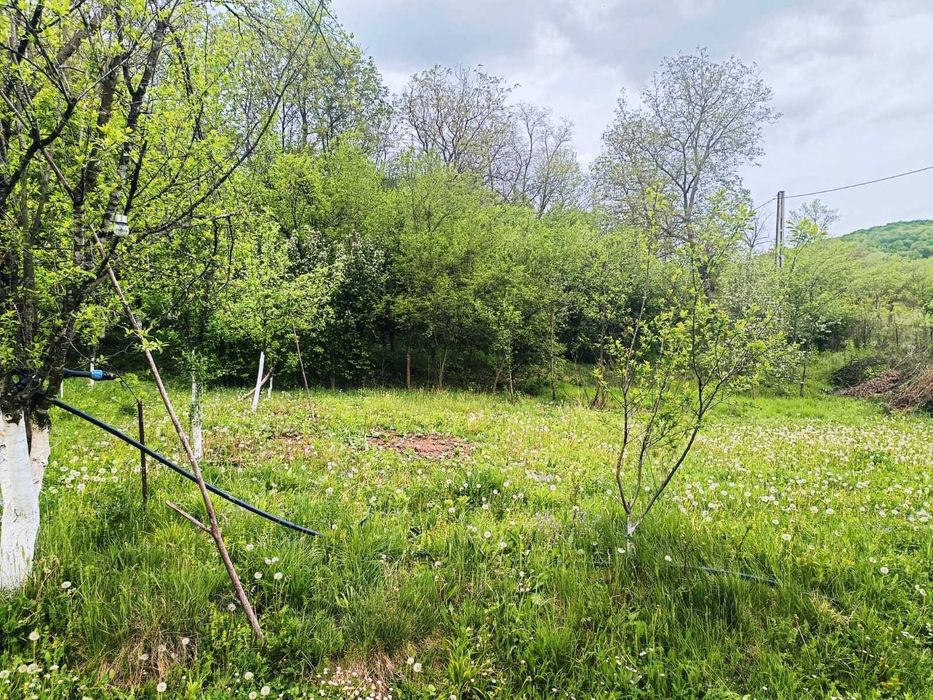 Vând teren intravilan în CĂRBUNEȘTI-PRAHOVA. Super-preț!!!