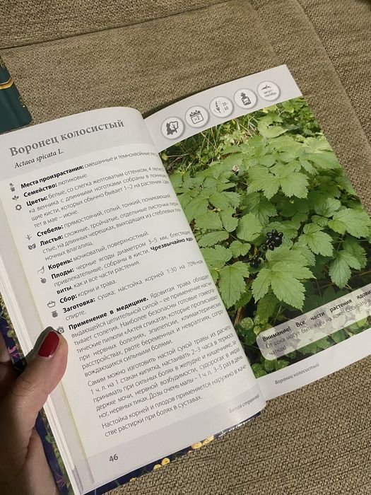 Книги о растениях