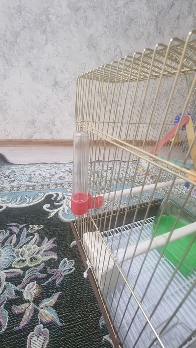 Клетка для попугаев