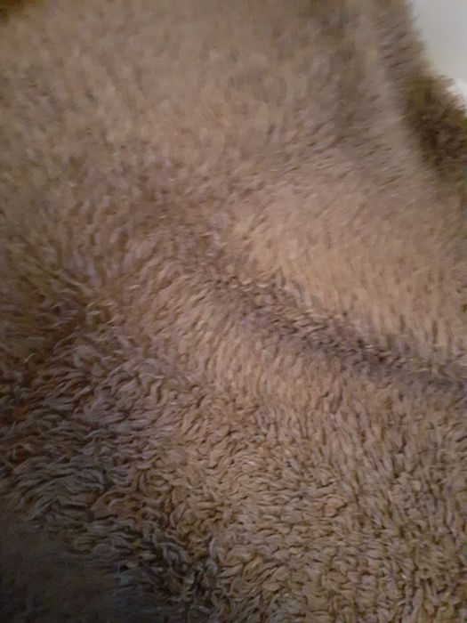 Домашен естествен губер