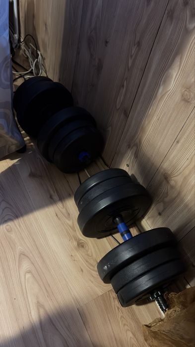 Gantere 2x20kg +19kg discuri aditionale