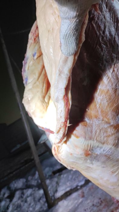 байтал жирные двухлетки