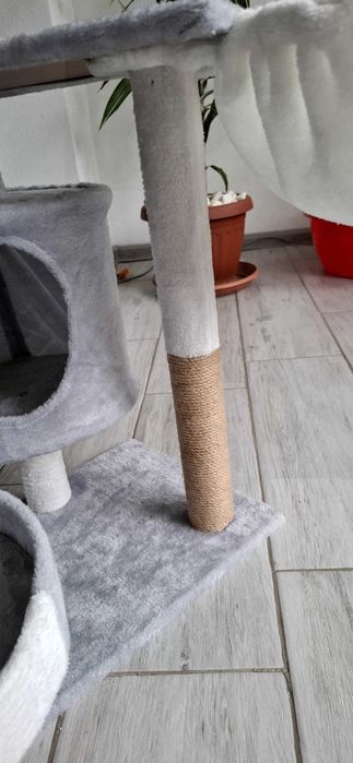 Котешка катерушка