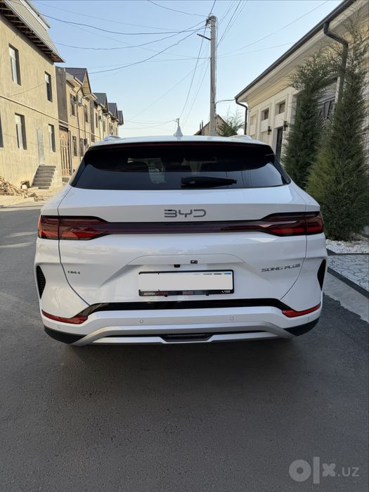 BYD Champion Gibrid 150 Full 2026/26