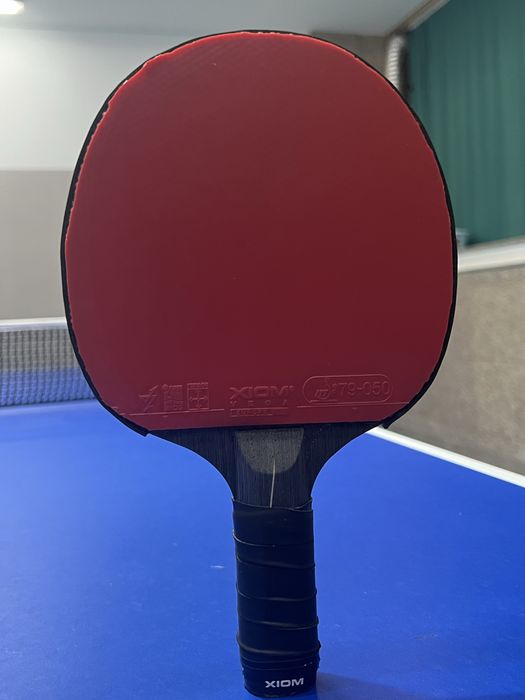 Paleta de ping pong