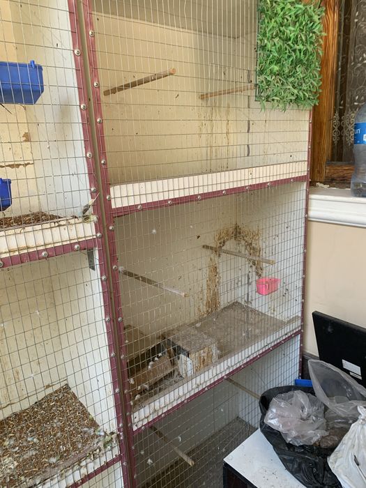 Продвется клетка для птиц