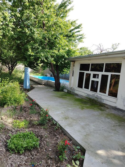 Xavosi toza turli xil daraxtlari bor