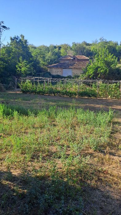 Дворно място село Баниска