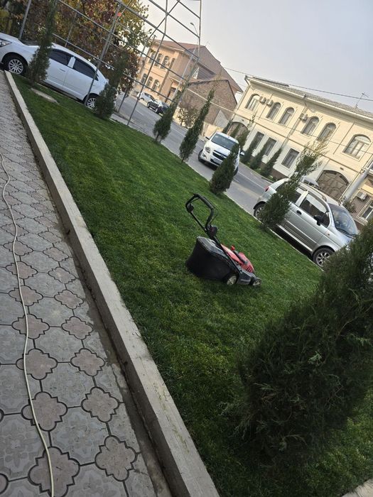 Газон рулон уруг хам сепамиз