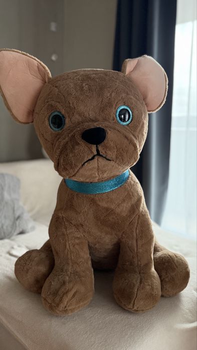 Vand usulet (Catel) de plus mare de 1 metru