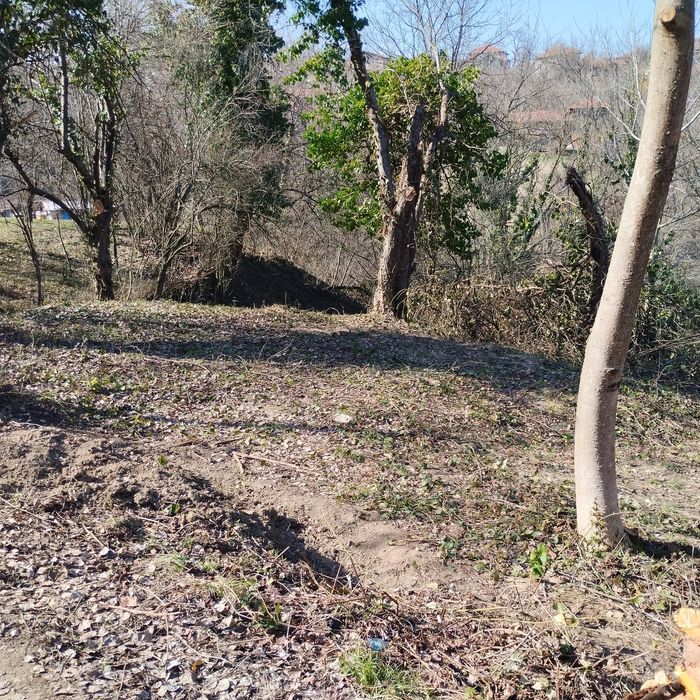 Имот в в село Голяма Желязна, област Ловеч