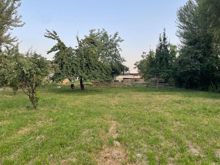 Srochno quruq yer sotiladi