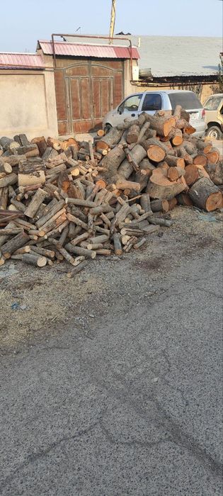 O'tin bor sotiladigan. 80%mevali daraxt 20%  terak. Ko'pi gilos.