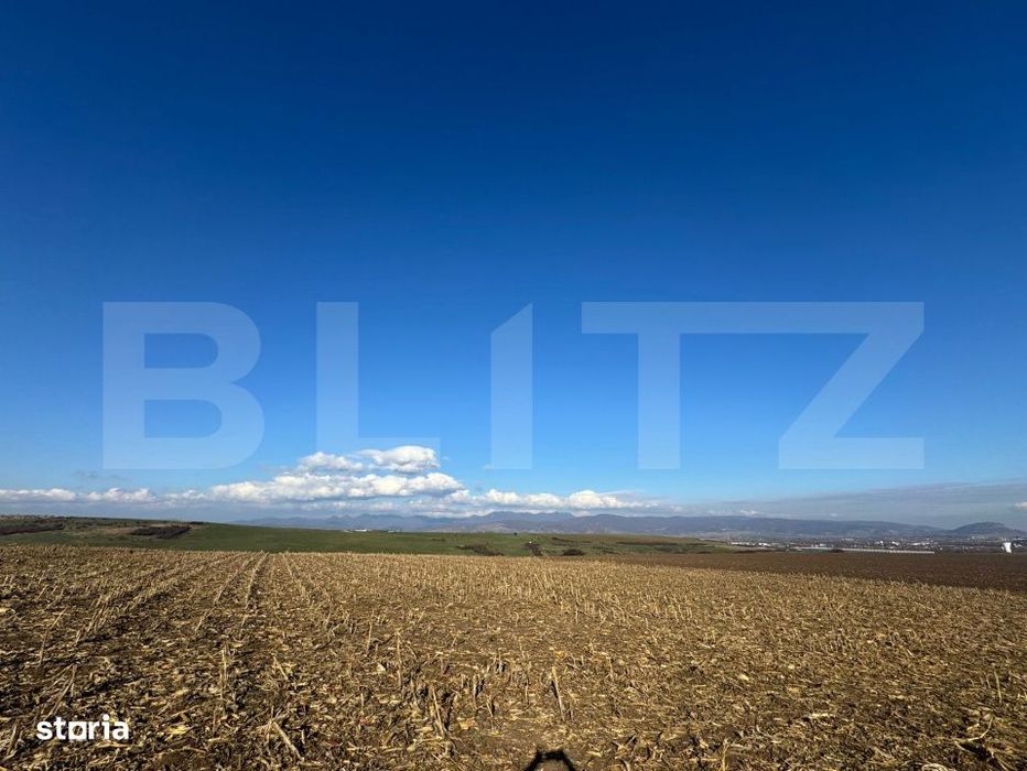 Teren extravilan agricol 5700 mp, Cristur