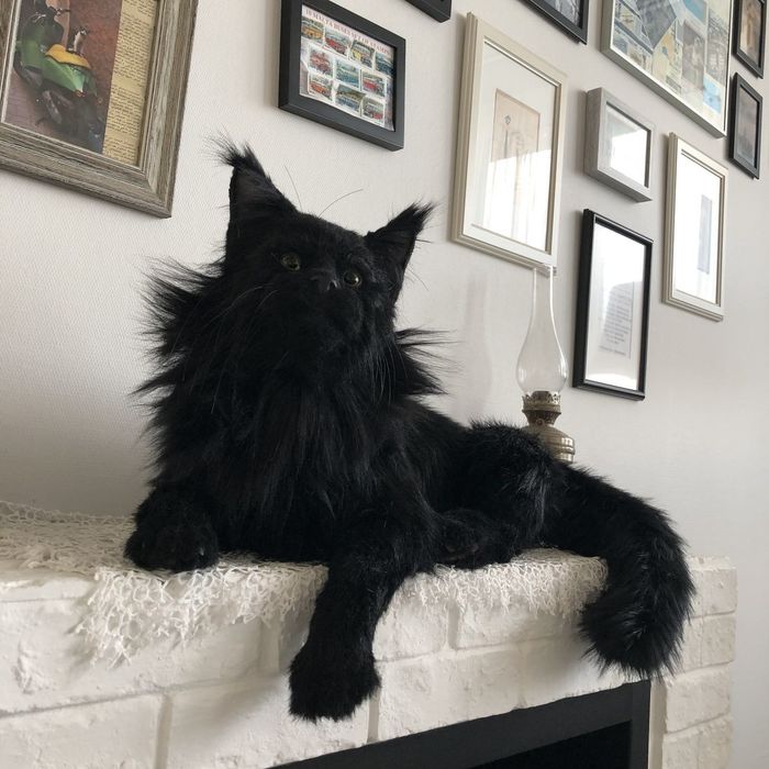 "ЧЁРНЫЙ БРИЛЛИАНТ" - Мейн Кун котята