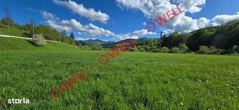 Teren extravilan de vânzare în Sita Buzăului – Zăbrătău!