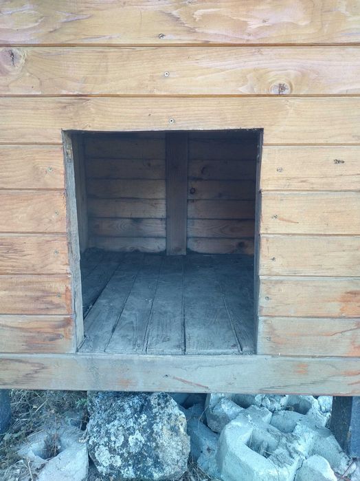 Кучешка къща колиба