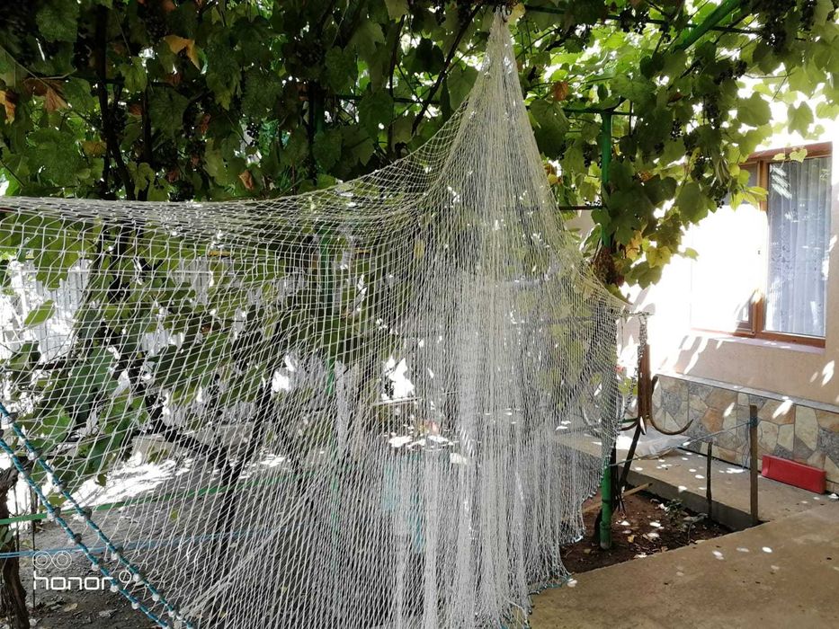 Secca de scrumbie  95m si 4 m înălțime