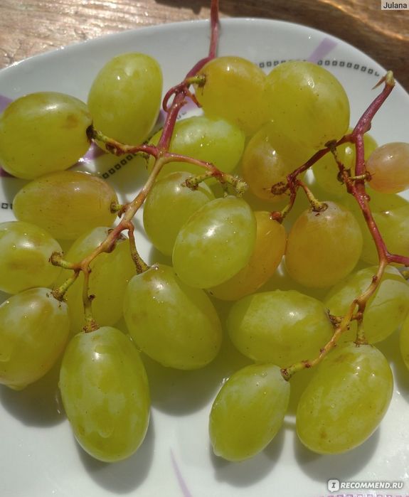Саженцы винограда сорт зелёный количество ограничено читаем описание
