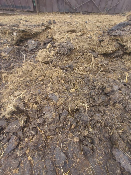 Продам навоз для удобрения