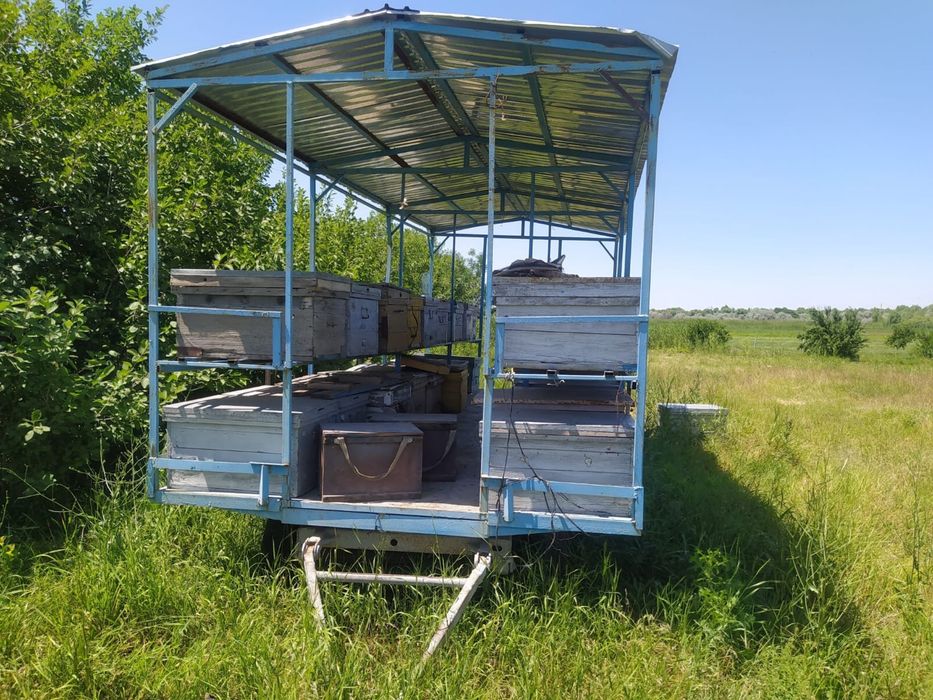 Прицеп с пчелами