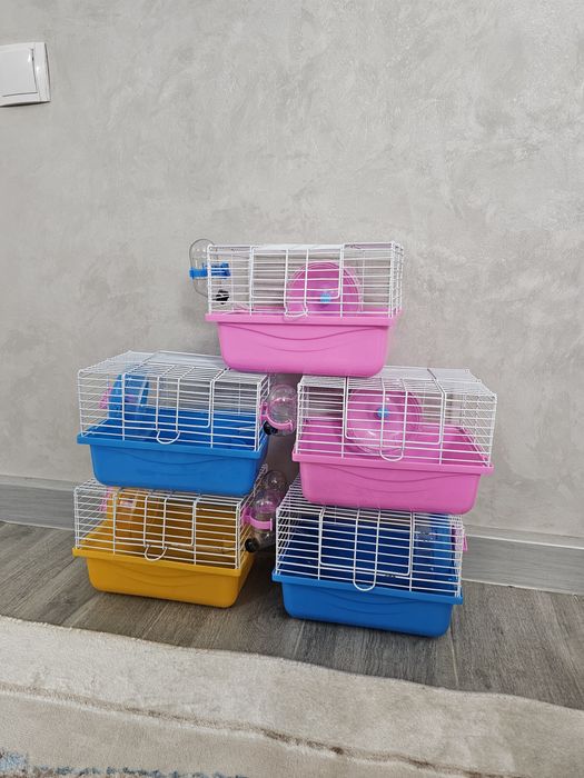 Новые клетки + хомяк в подарок