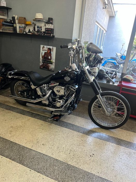Harley Davidson Softail