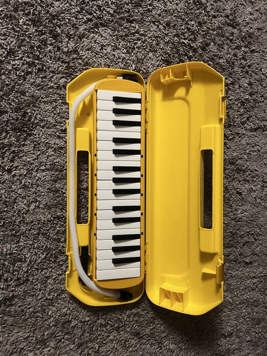 Vand  clapa floasneta (acordeon hohner)
