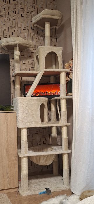 Котешка катерушка