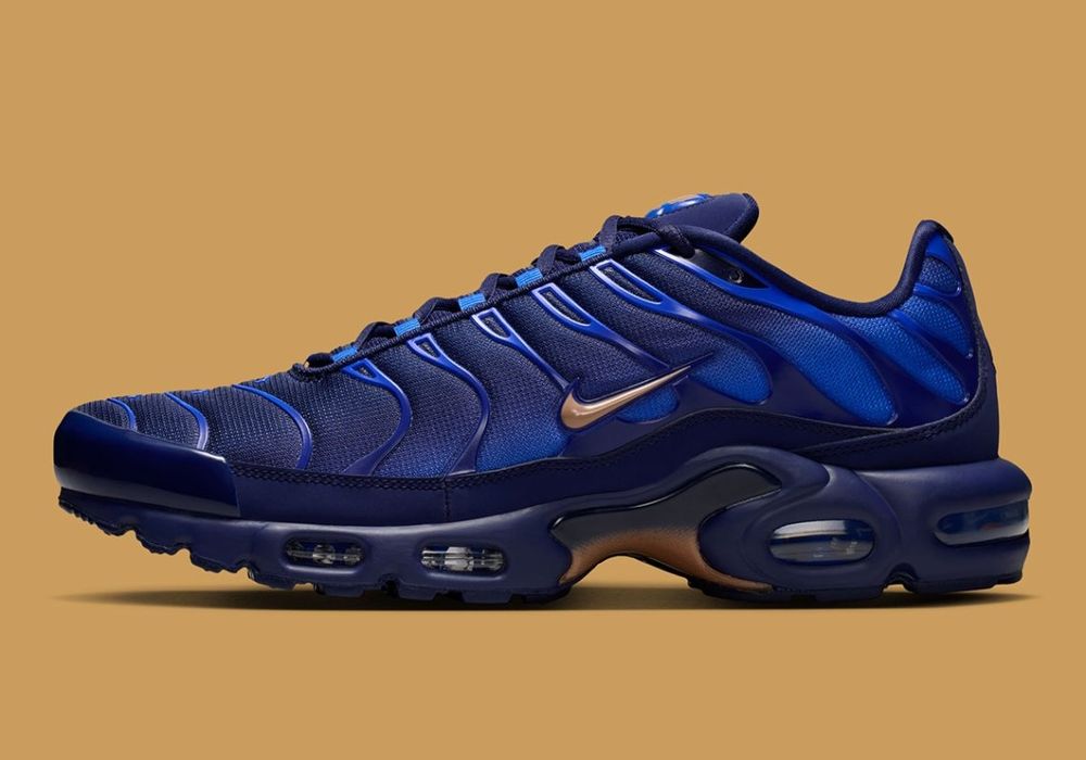 Nike Air Max Plus OG FR