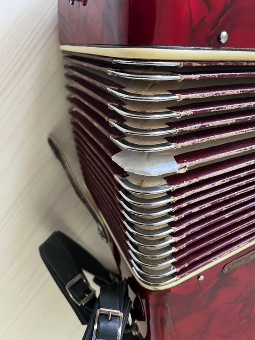 Acordeon Parrot 120 bași