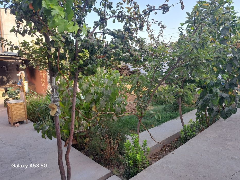 Galaguzar mahallasida uy sotiladi manzil maktab yonida uy 4 xonali