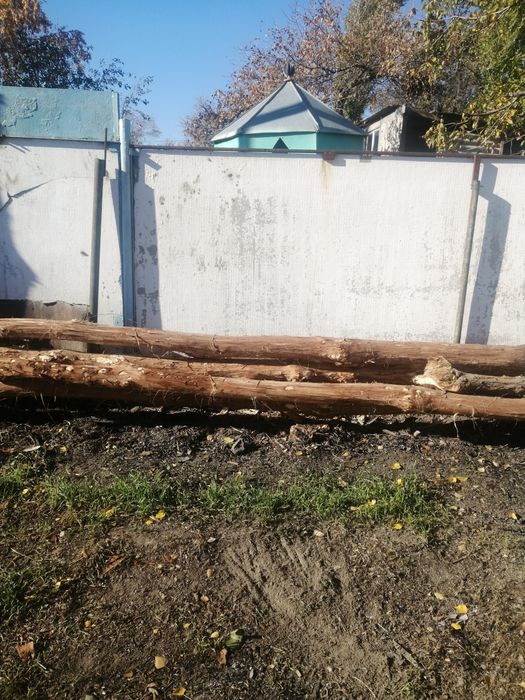 Терек 6метір 8метір