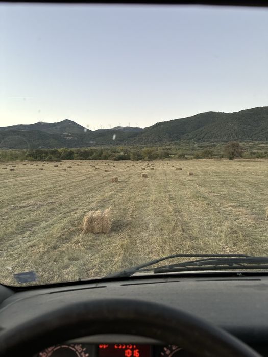 Бали малки таз годишни