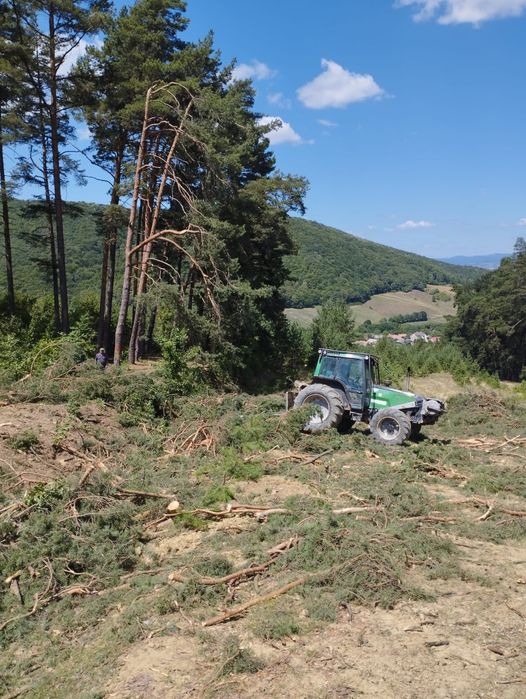 Tractor forestier