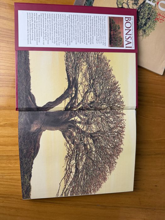 The Complete Practical Encyclopedia of Bonsai + книжка за Бонсаи