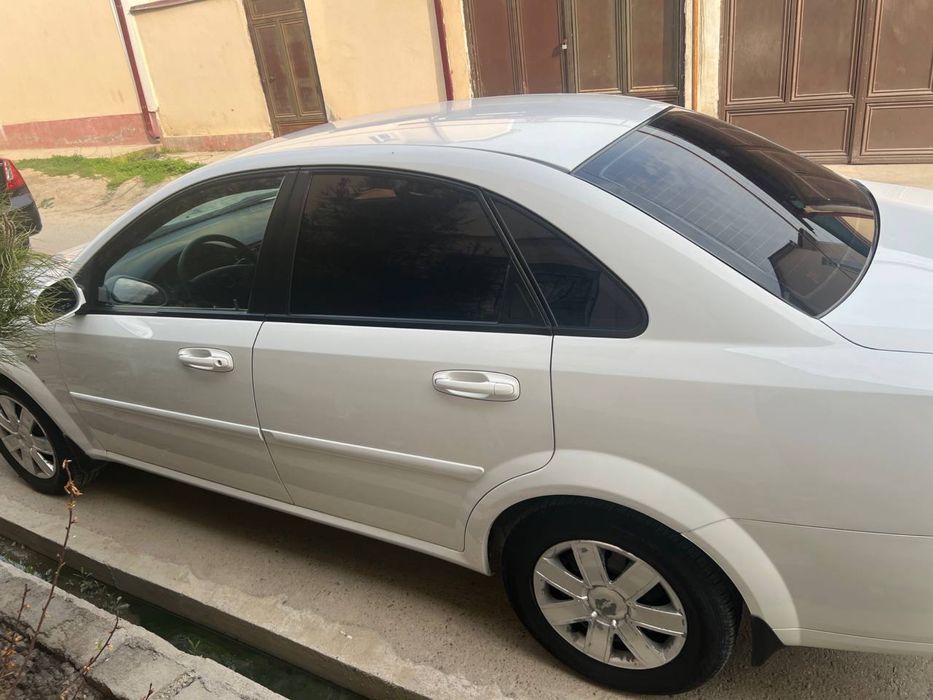 Assalomu aleykum Lassetti 2009 kraska orqa kriloda petno bor