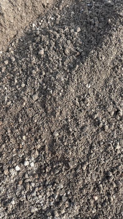 шебень митыи галка